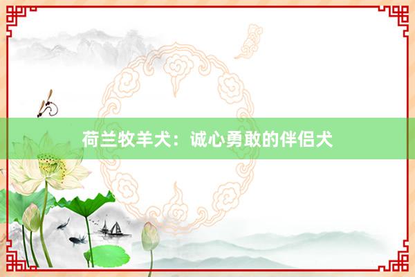 荷兰牧羊犬：诚心勇敢的伴侣犬
